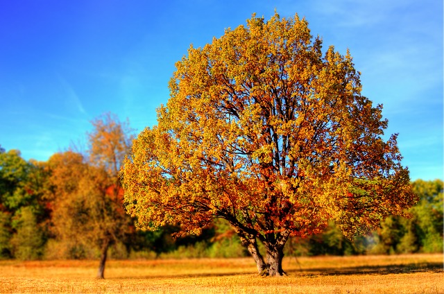 Herbst in Ungarn – wo relaxt es sich am besten