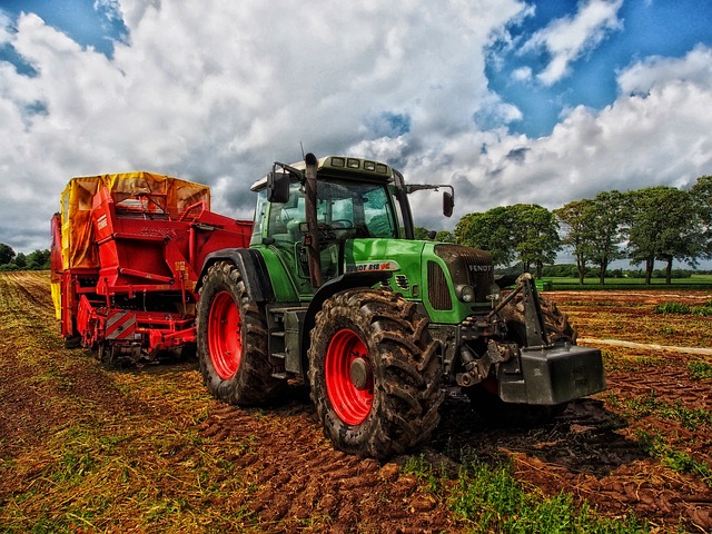 Sprachbarrieren im landwirtschaftlichen Sektor überwinden: Zuverlässige ungarische Übersetzungen für reibungslose Geschäftsbeziehungen